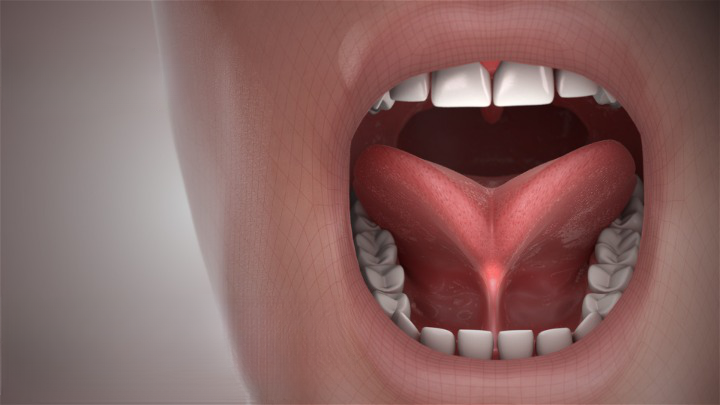 Dr. Shruti Sharma, ENT specialist doctor is trained and qualified to perform Tongue Tie Release surgery at (Pedder Road and Tardeo) Mumbai.